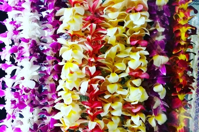 Row of Colorful Hawaiian Leis