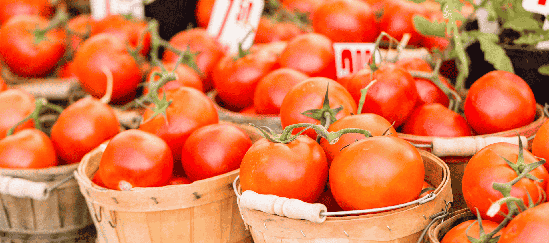 tomatoes